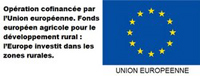 UE